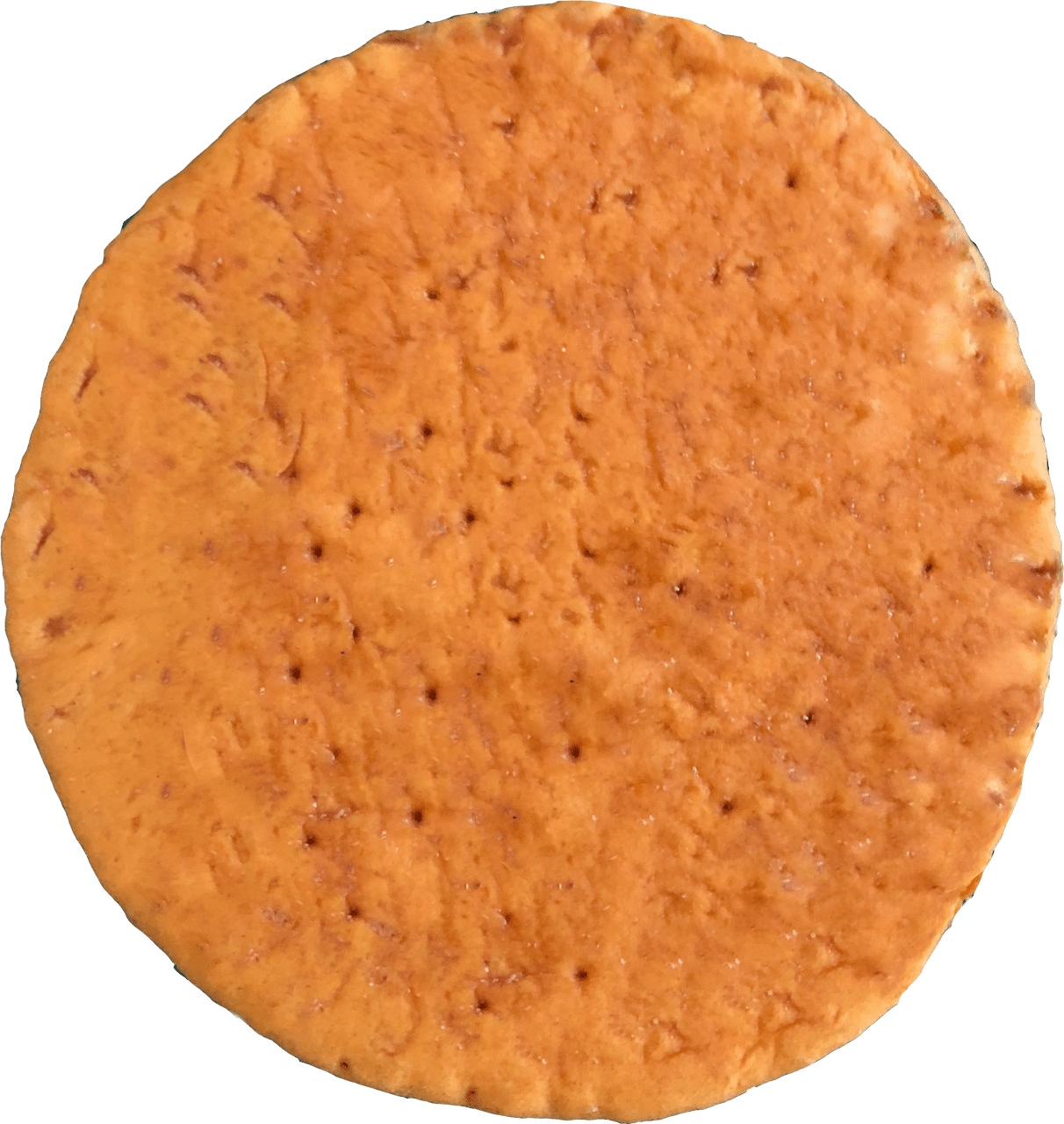 Panini 8" Sun Dried Tomato