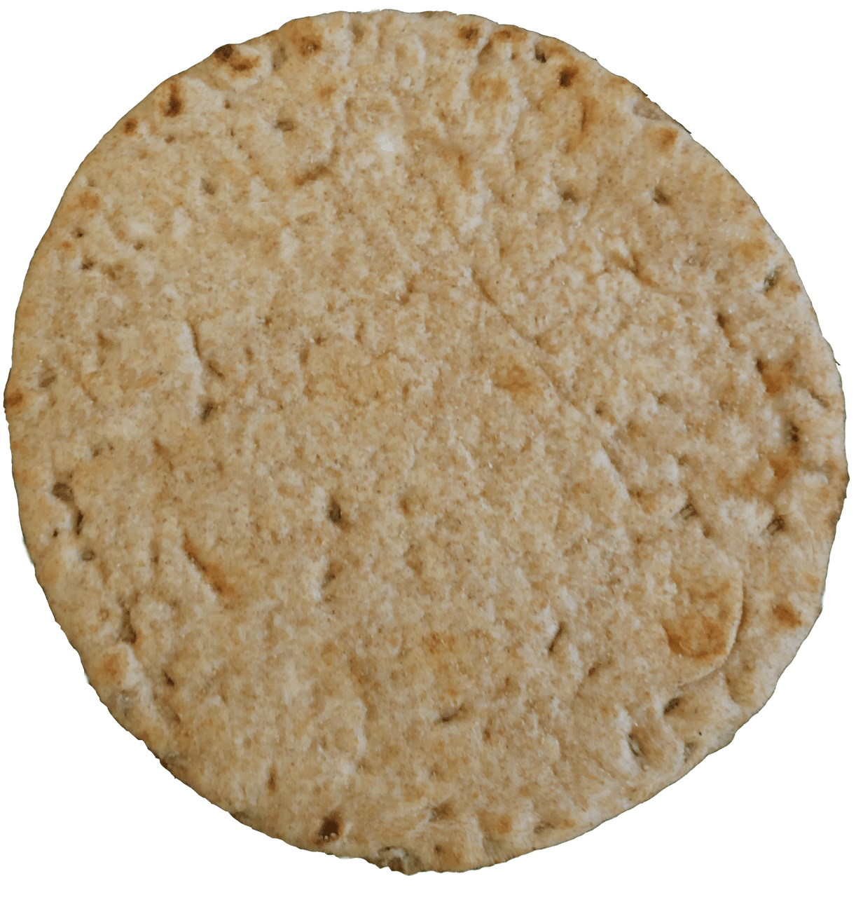 Panini 8" Non-Grilled